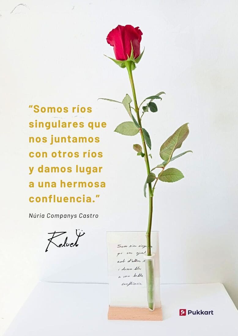 reinvención de la Rosa de Sant Jordi Reluet