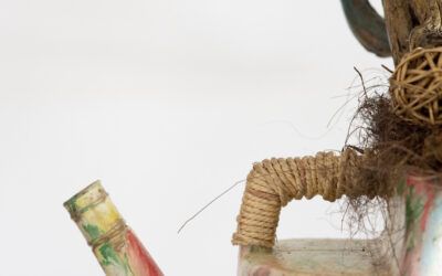 Ecografía visual: La técnica definitiva para ver lo invisible en tu historia personal
