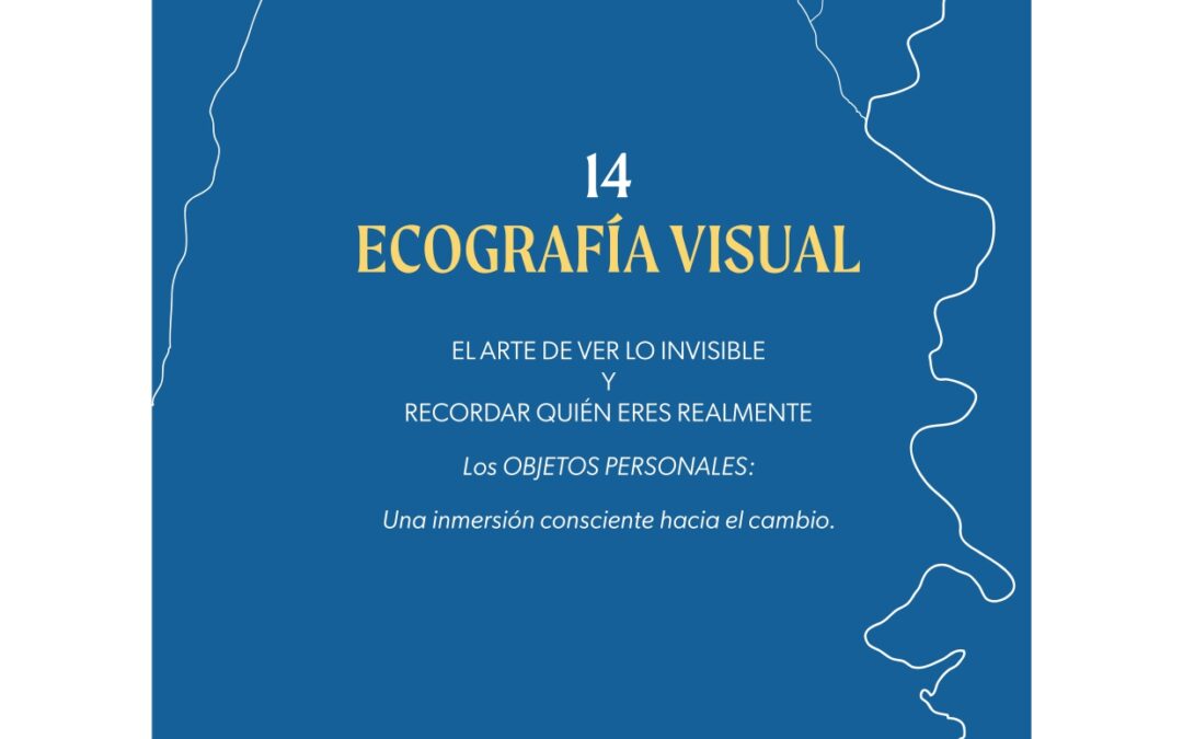 Ecografía visual